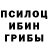 Галлюциногенные грибы мицелий facehugger89