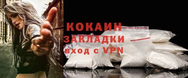 крисы Баксан