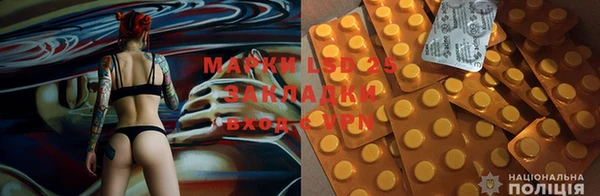 крисы Баксан