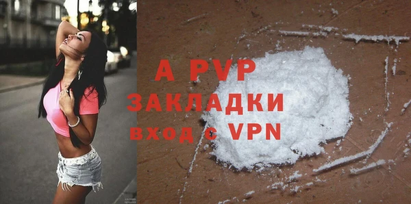 крисы Баксан