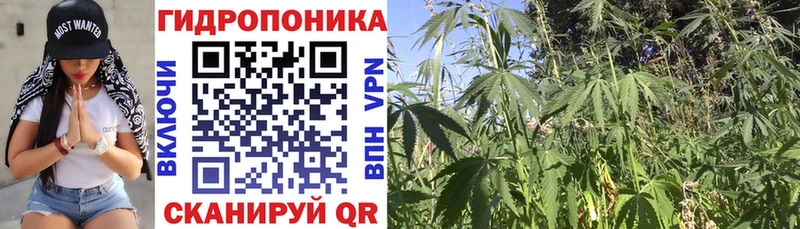 МАРИХУАНА AK-47  хочу   ОМГ ОМГ вход  Урус-Мартан 